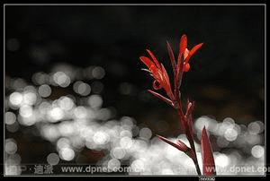 �����Ӱ��ѧϰ����