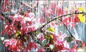 �����꾰Ҫע��ʲô��