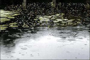 �����꾰Ҫע��ʲô��