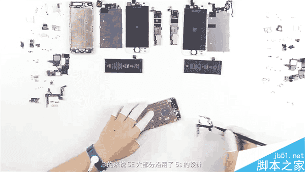 辨别iPhone5S和iPhoneSE的技巧