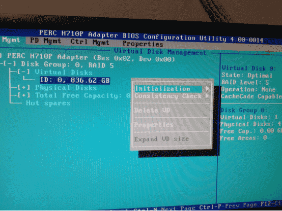 DELL H310 H710пĽ̳
