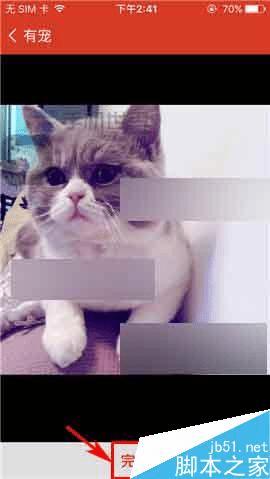 在微爱中更换背景图片的办法