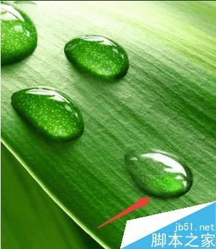 怎么样在ps中制作逼真的绿叶上小水珠?