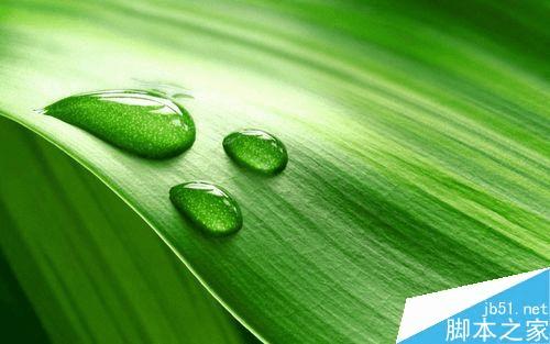 怎么样在ps中制作逼真的绿叶上小水珠?