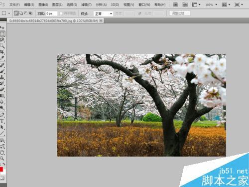 怎么样在PS中将风景照调出温馨梦幻效果?