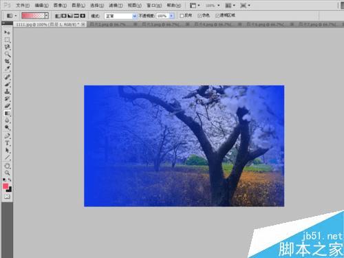 怎么样在PS中将风景照调出温馨梦幻效果?