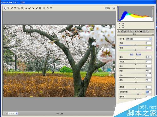 怎么样在PS中将风景照调出温馨梦幻效果?