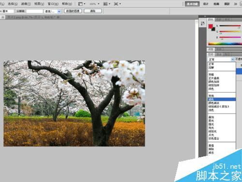 怎么样在PS中将风景照调出温馨梦幻效果?