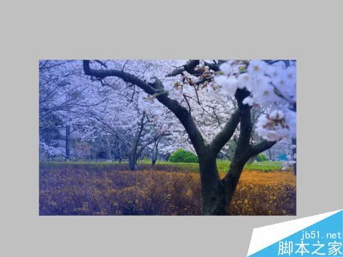 怎么样在PS中将风景照调出温馨梦幻效果?