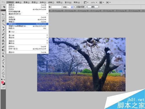 怎么样在PS中将风景照调出温馨梦幻效果?