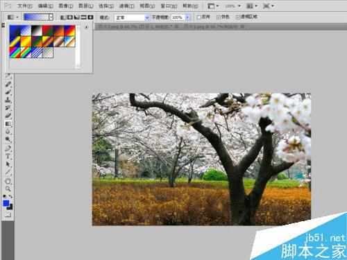 怎么样在PS中将风景照调出温馨梦幻效果?