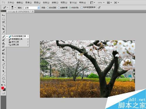 怎么样在PS中将风景照调出温馨梦幻效果?