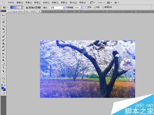 怎么样在PS中将风景照调出温馨梦幻效果?
