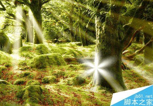 如何在PS中绘制闪亮的星星并预设为笔刷?