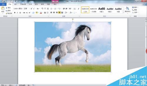 在word文档中给的图片添加文字的办法