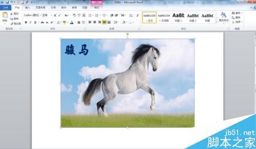 在word文档中给的图片添加文字的办法