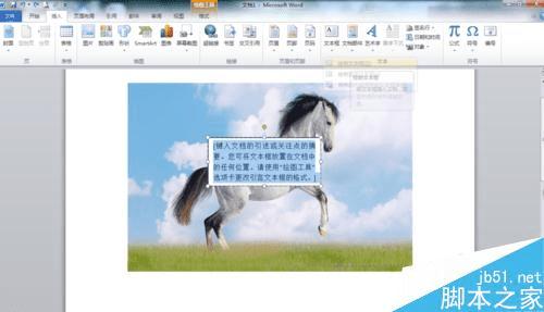 在word文档中给的图片添加文字的办法