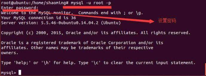 怎么样在Ubuntu 14.04下安装MySQL? _ 路由器