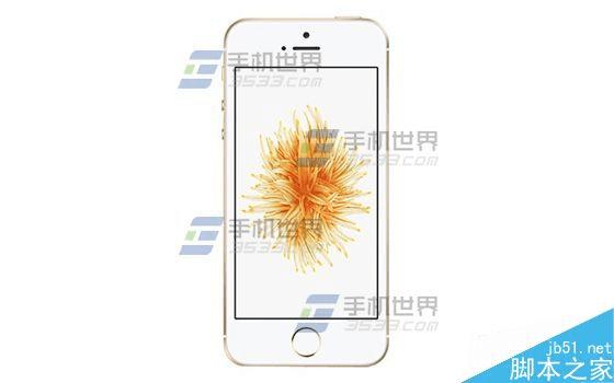 如何使用iPhoneSE清除Safari浏览器?