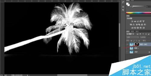 如何使用PS通道抠出复杂轮廓?