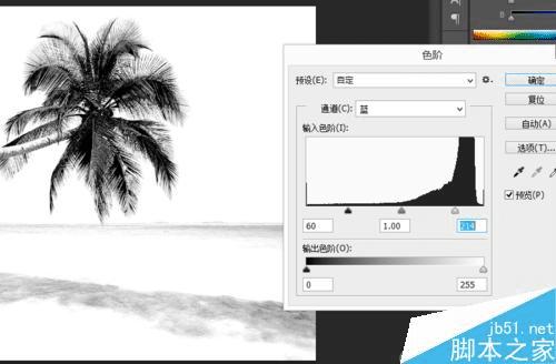 如何使用PS通道抠出复杂轮廓?