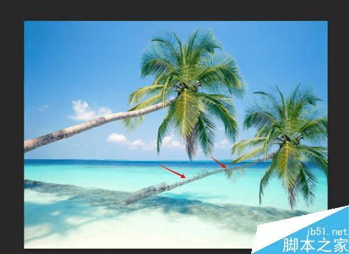 如何使用PS通道抠出复杂轮廓?