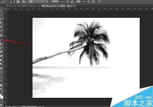 如何使用PS通道抠出复杂轮廓?