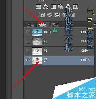 如何使用PS通道抠出复杂轮廓?