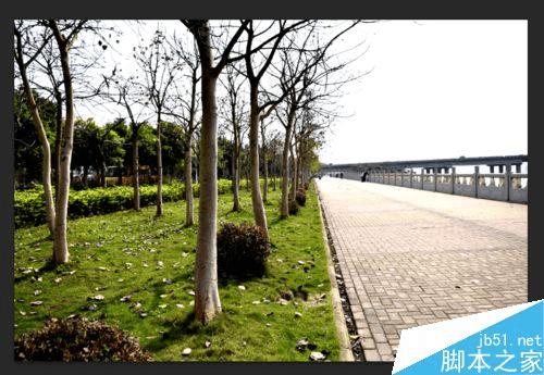 使用ps后期色阶的方法技巧