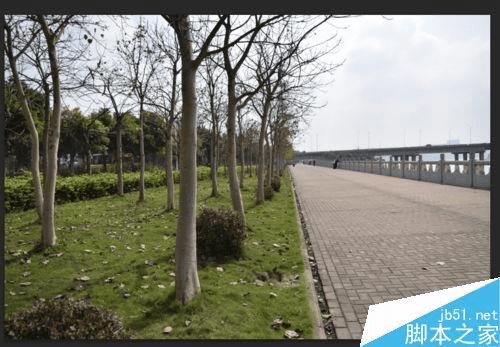 使用ps后期色阶的方法技巧