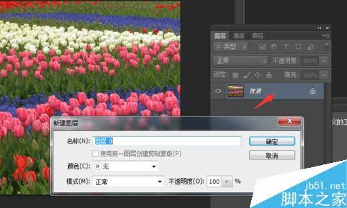 使用PS制作马赛克图片的步骤