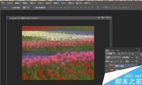 使用PS制作马赛克图片的步骤