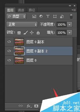 使用PS制作马赛克图片的步骤