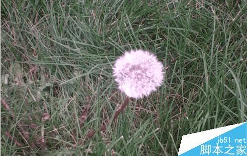 解决PS打开图片后出现报错提示的办法