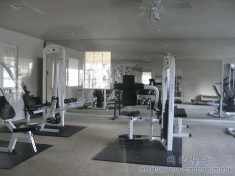 硅谷之行租房记的内容知识介绍