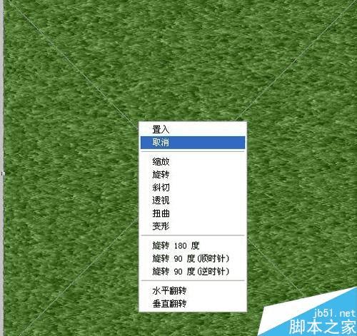 使用ps制作草地及凹陷字体的步骤