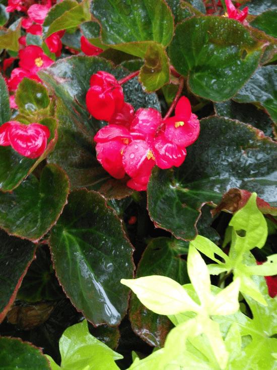 华为G9 Plus的性能鉴定及评测