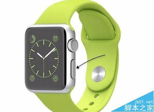 Apple WatchԵĲ