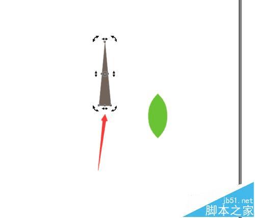 通过cdr画苹果的方法