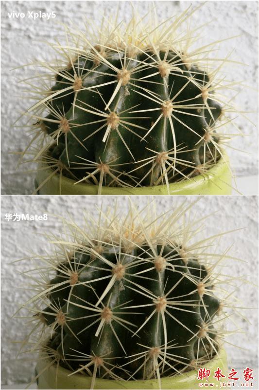vivo Xplay5ͻΪMate8Ĳͬ