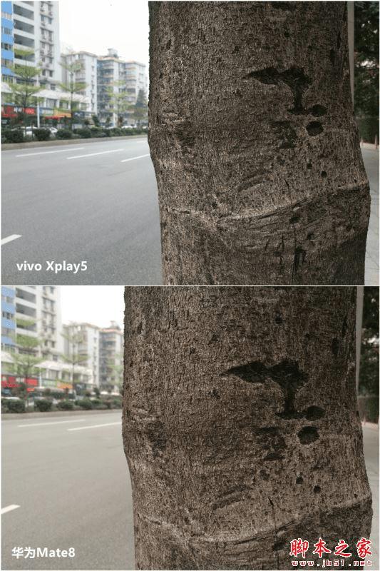 vivo Xplay5ͻΪMate8Ĳͬ
