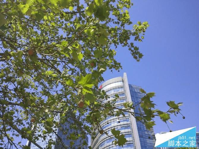 ŬZ11 miniС5Ĳ֮ͬڣ