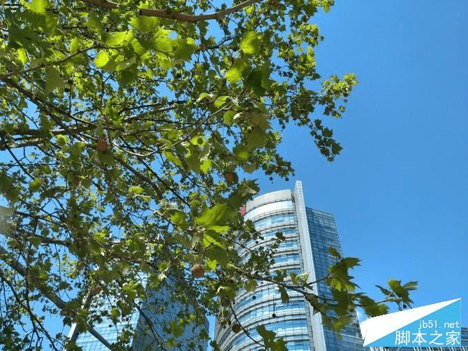 ŬZ11 miniС5Ĳ֮ͬڣ