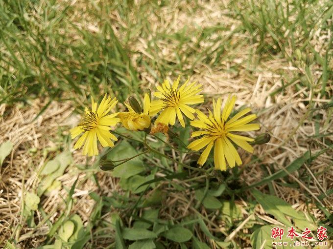 魅族PRO6的性能如何?