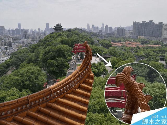 荣耀V8实际拍照性能如何?