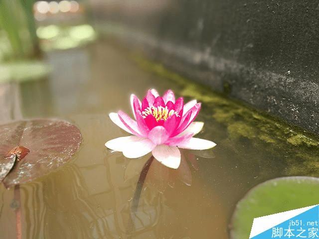 荣耀V8实际拍照性能如何?