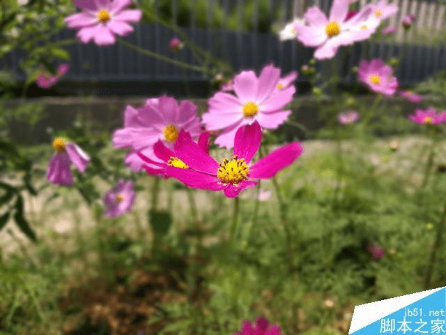 荣耀V8实际拍照性能如何?