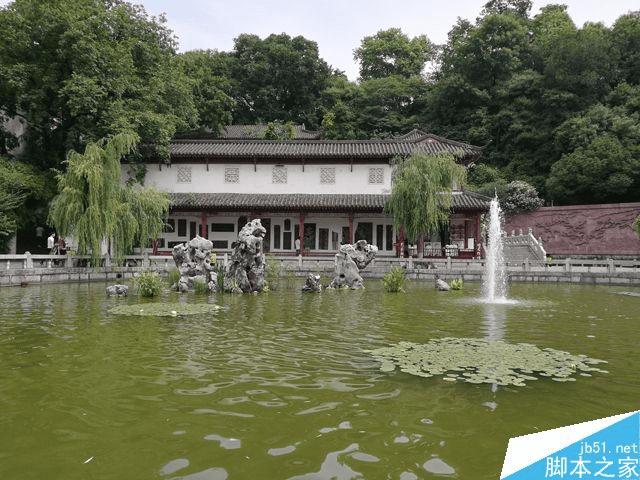 荣耀V8实际拍照性能如何?