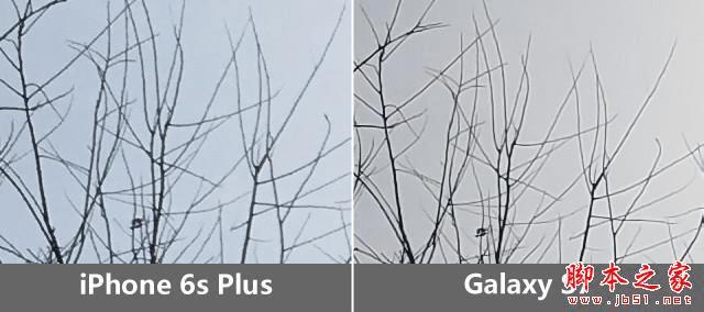 三星S7和iPhone6s Plus的区别有?