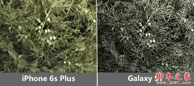 三星S7和iPhone6s Plus的区别有?